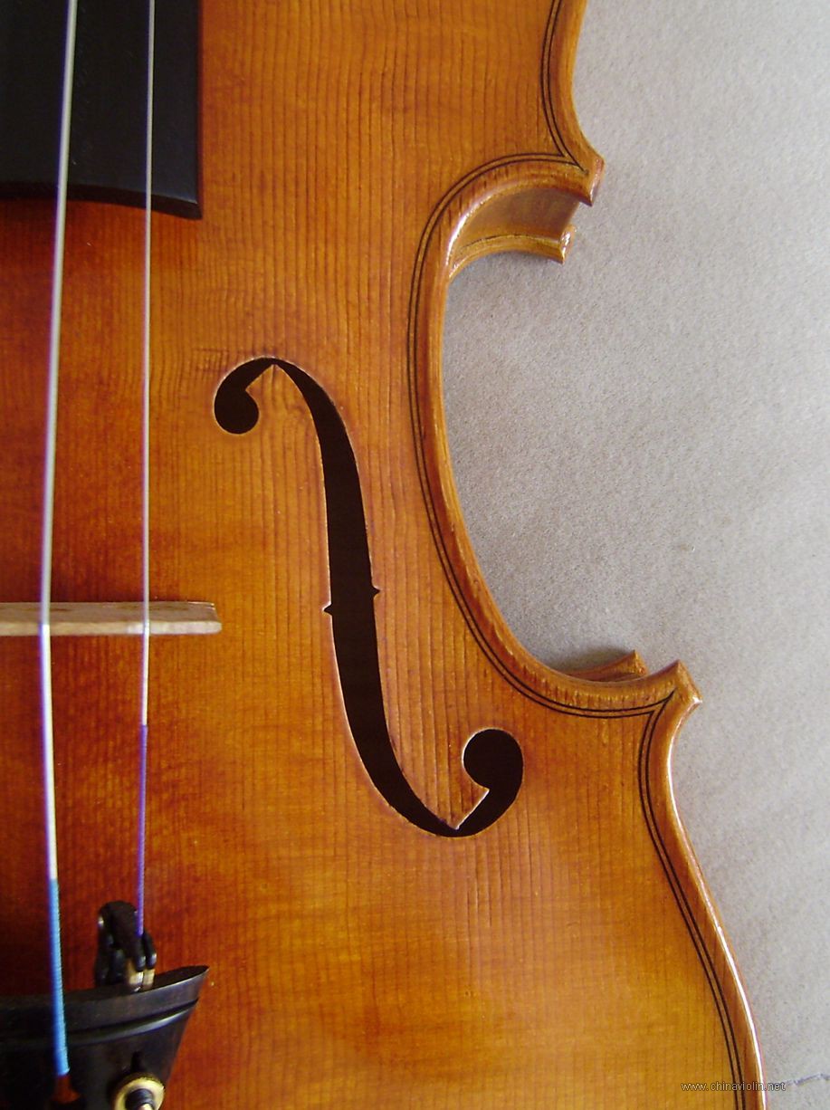 P1010008.JPG