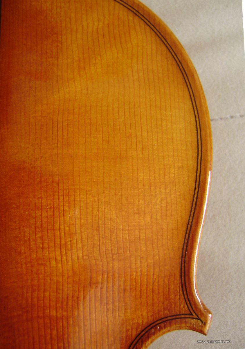 P1010009.JPG