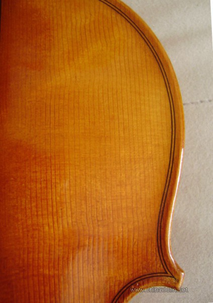 P1010009.JPG