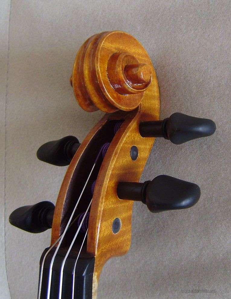 P1010025.JPG