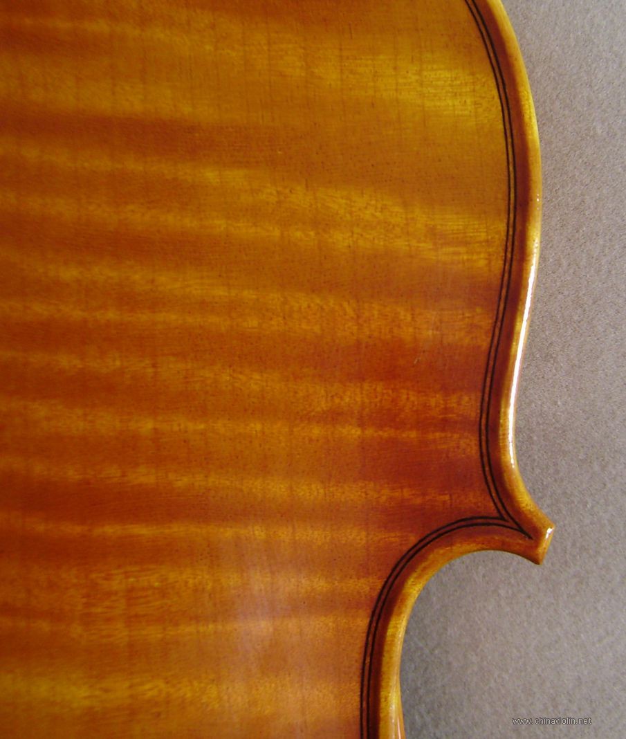 P1010037.JPG