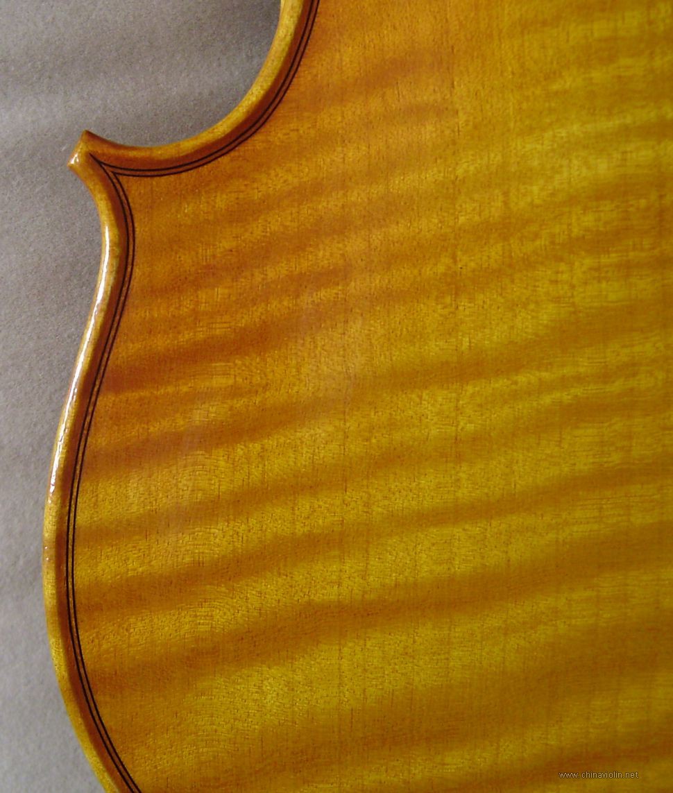 P1010041.JPG