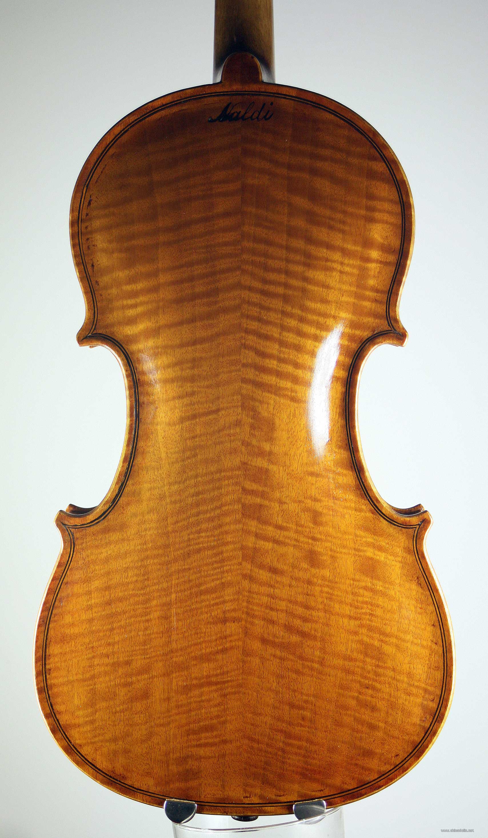 5197naldi-violin-back.jpg