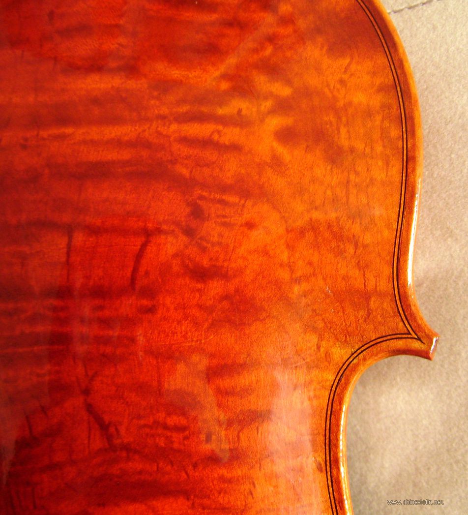 P1010020.JPG