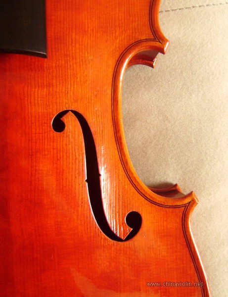 P1010019.JPG