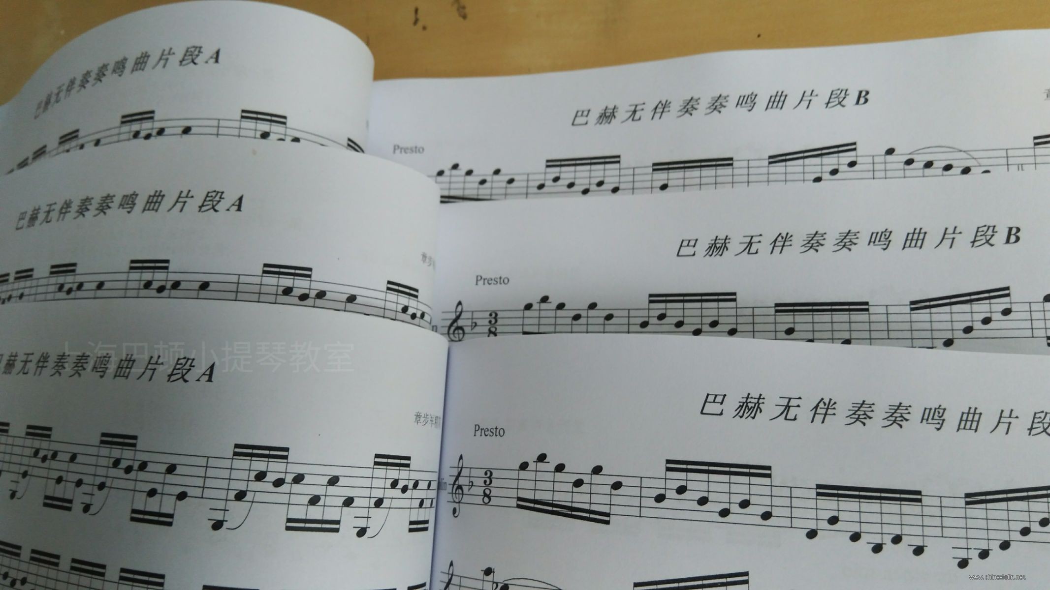 mmexport1520134077926.jpg