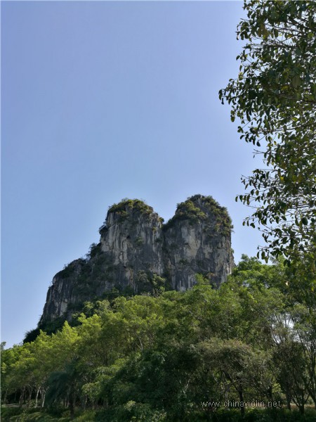 IMG_20180309_145250_副本.jpg