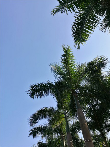 IMG_20180309_164448_副本.jpg