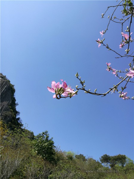 IMG_20180309_143128_副本.jpg