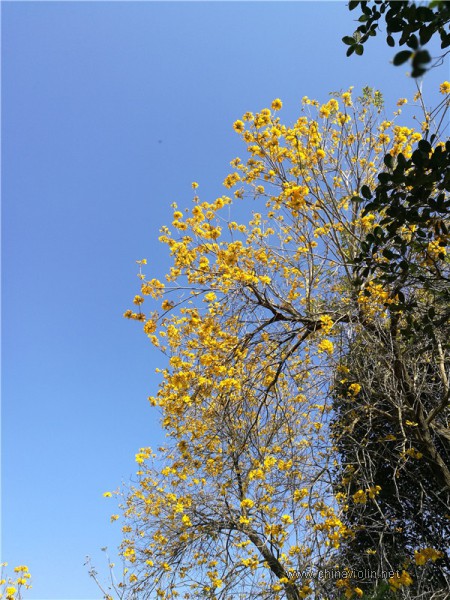 IMG_20180309_153018_副本.jpg