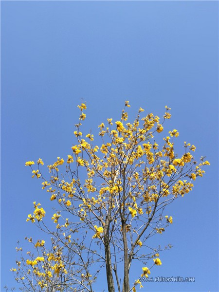 IMG_20180309_143704_副本.jpg