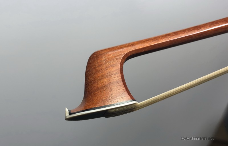 IMG_1081.jpg