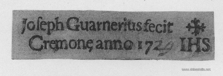 Guarneri-3.jpg