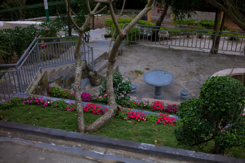 《公园一角》Leica Summicron-M 50/2