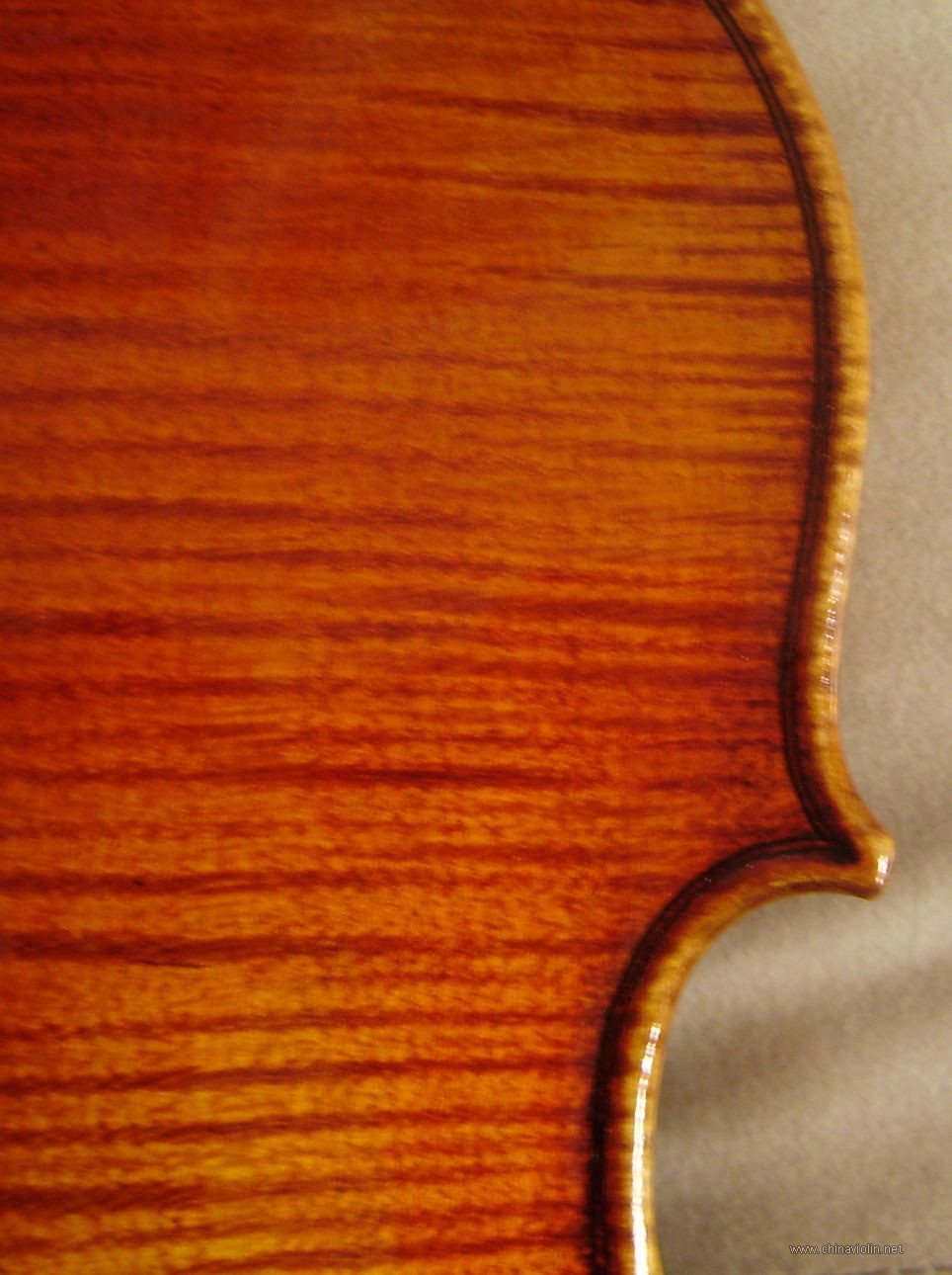 P1010008.JPG