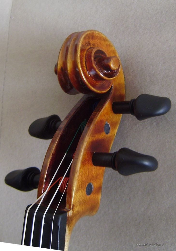 P1010009.JPG