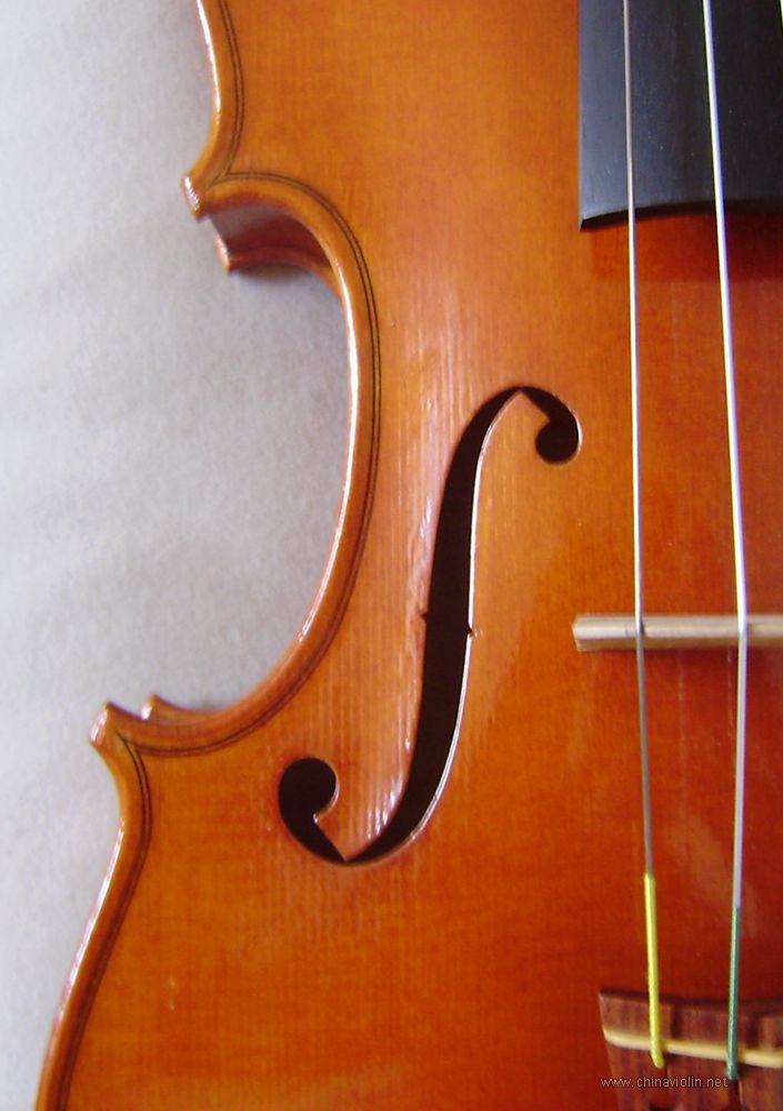 P1010008.JPG