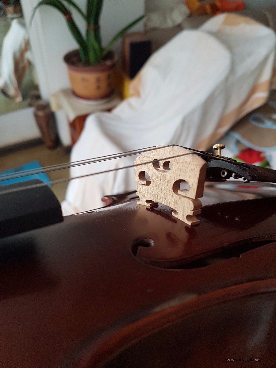 20180704_193211.jpg