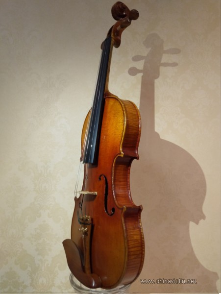 给我的两只宝贝琴来组艺术照