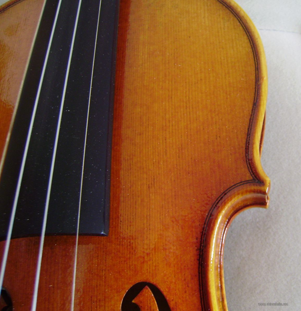 6.JPG