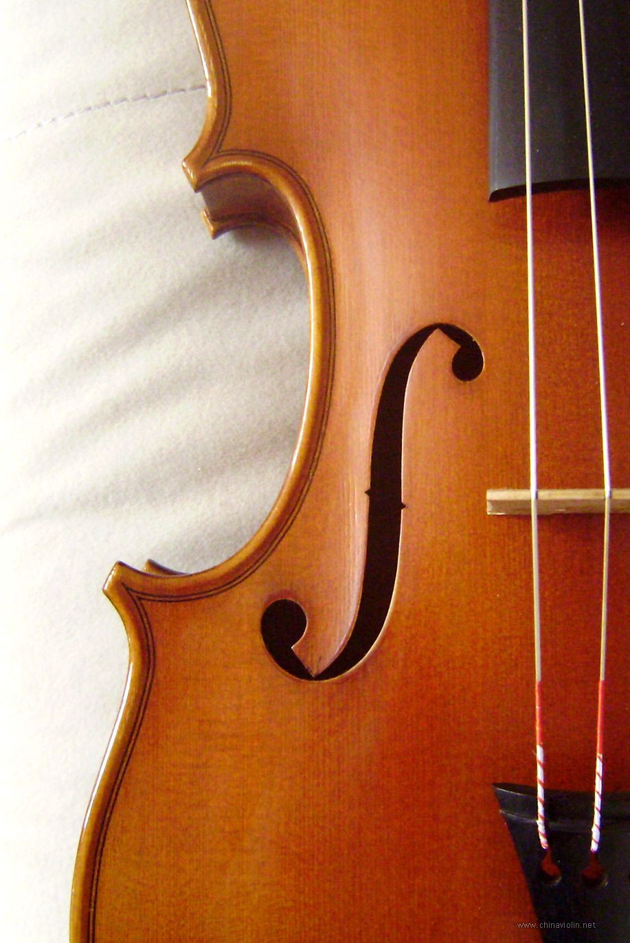 P1010005.JPG