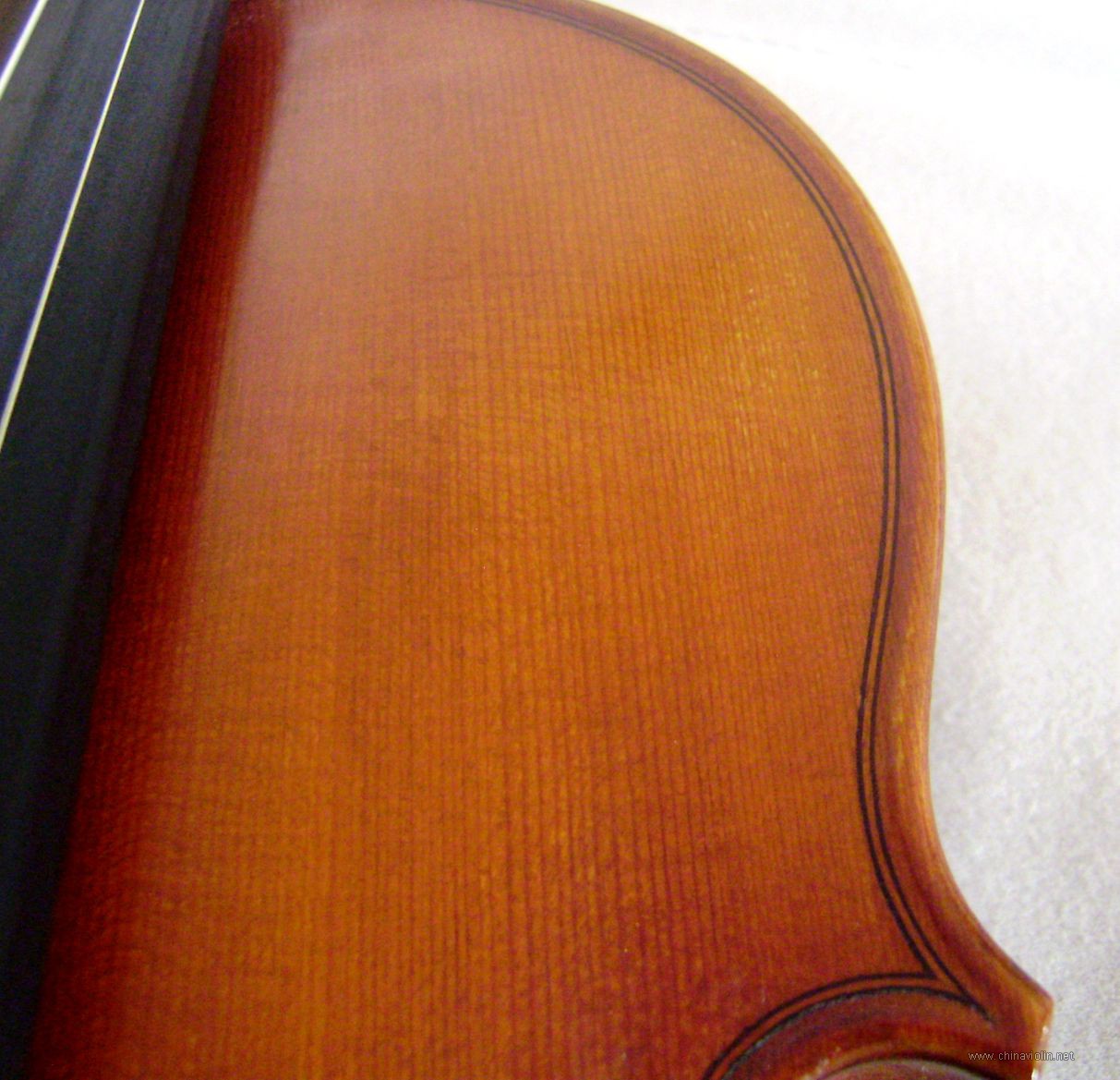 P1010006.JPG