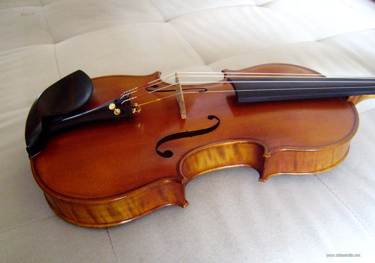 P1010007.JPG