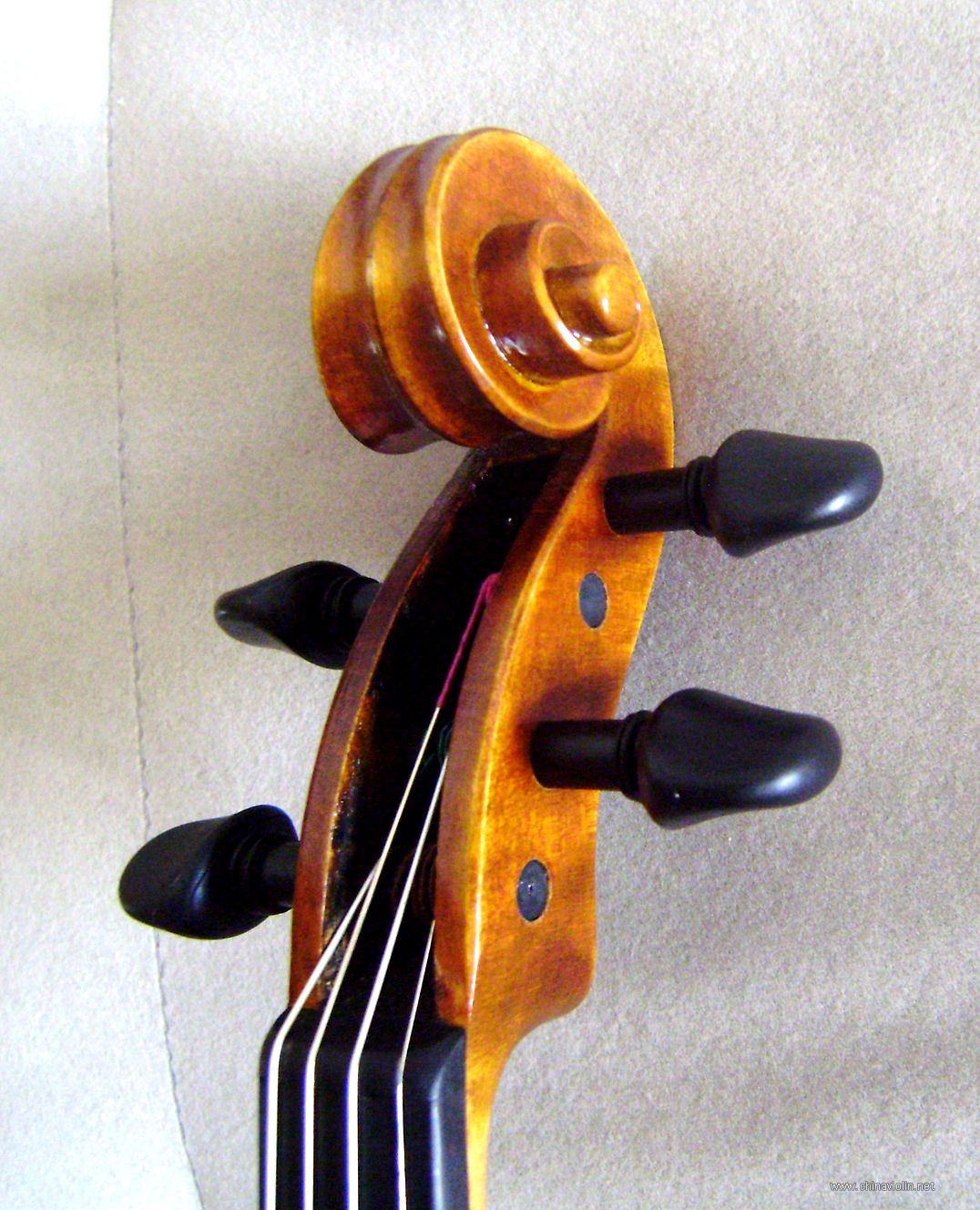 P1010014.JPG