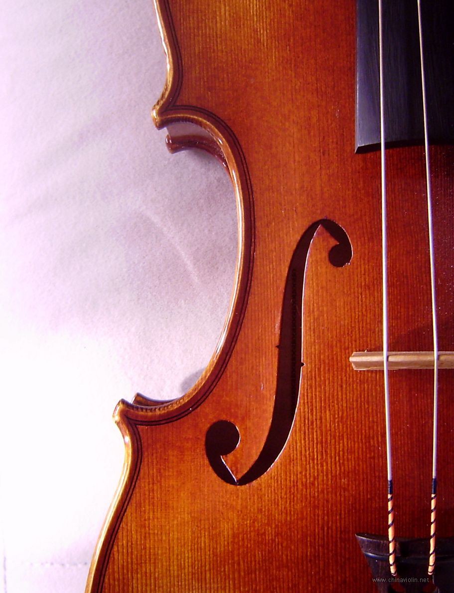 P1010017.JPG