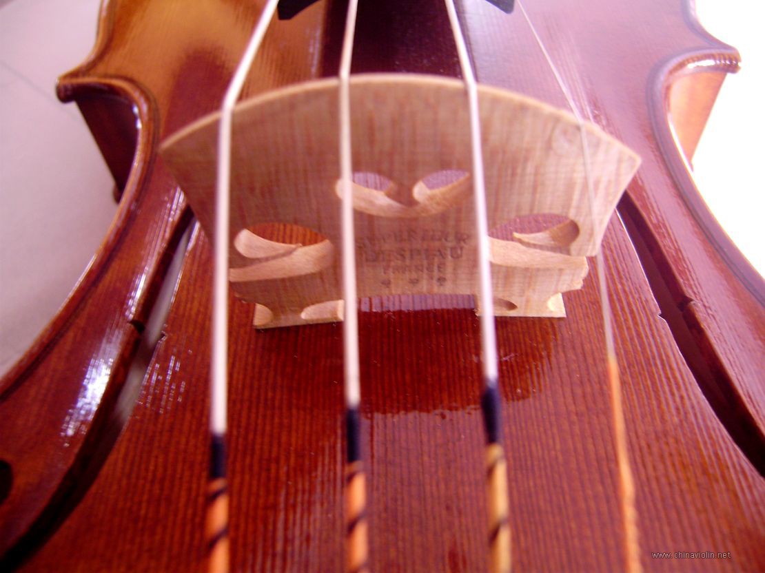 P1010022.JPG