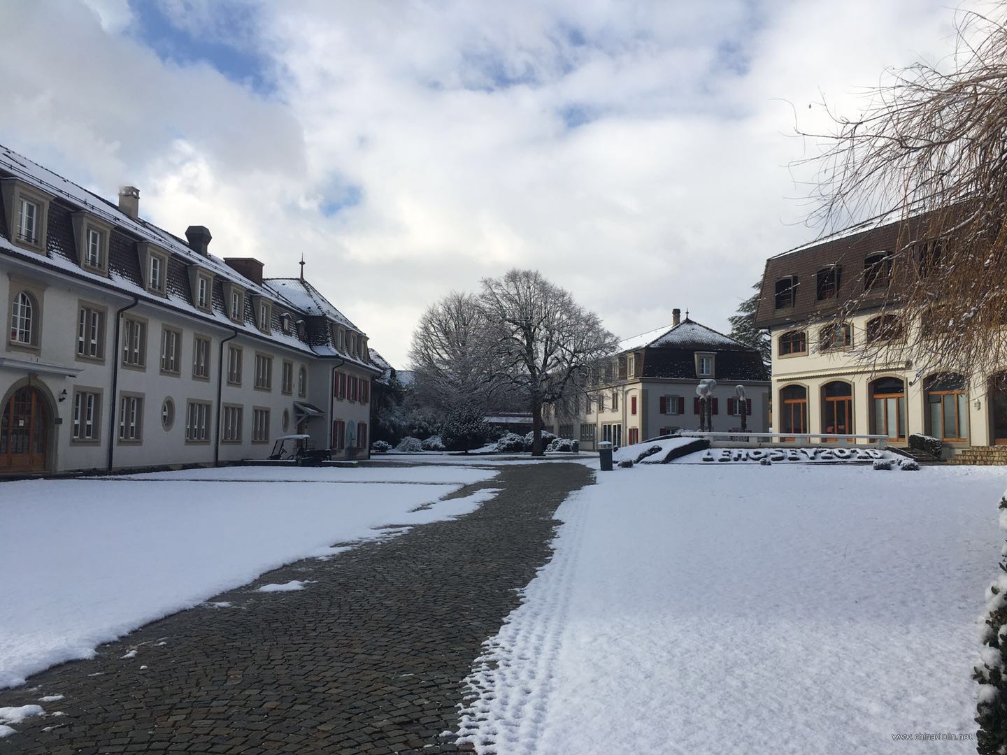 2019-01-29 151703.jpg