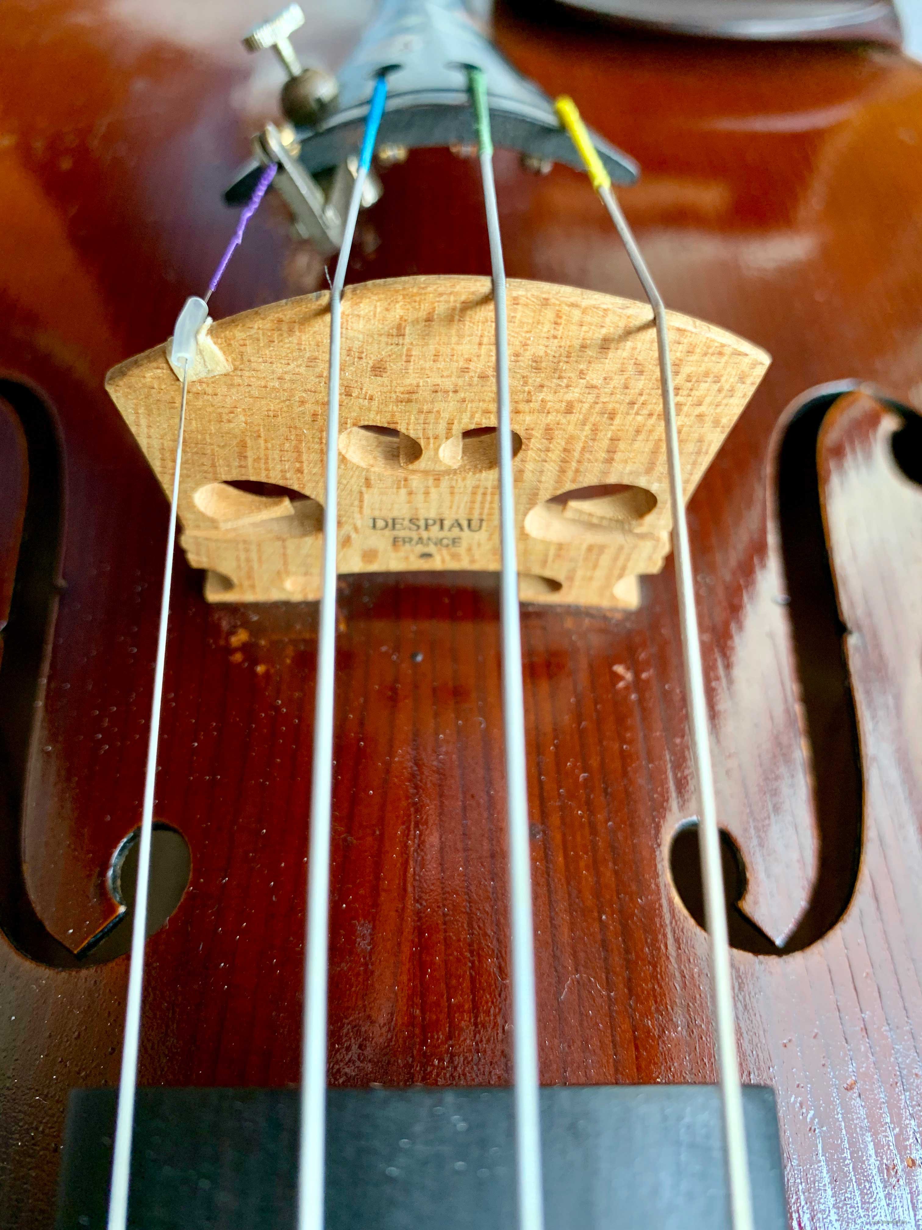 IMG_0378(20190205-102417).jpg