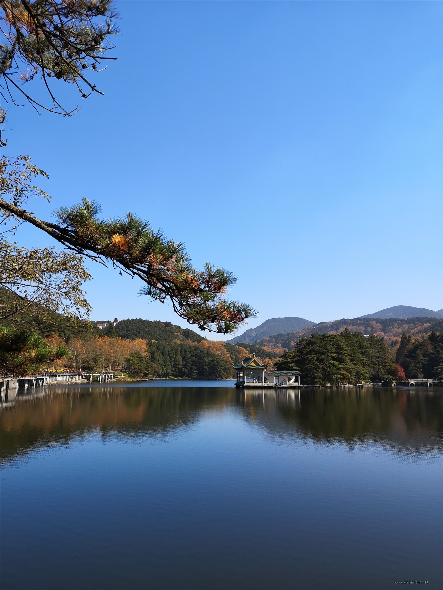 IMG_20181029_113412 (1).jpg