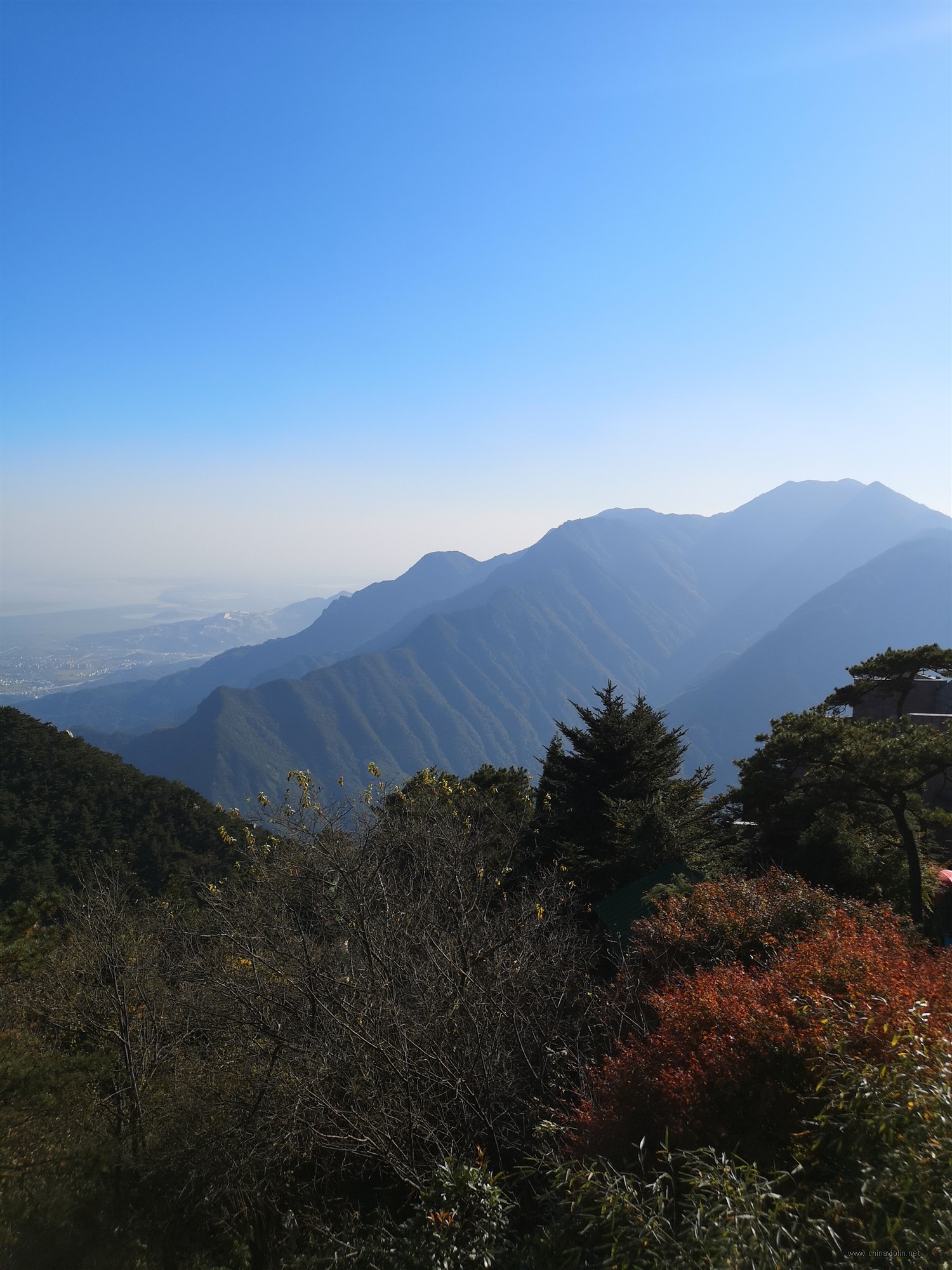 IMG_20181029_151514 (1).jpg