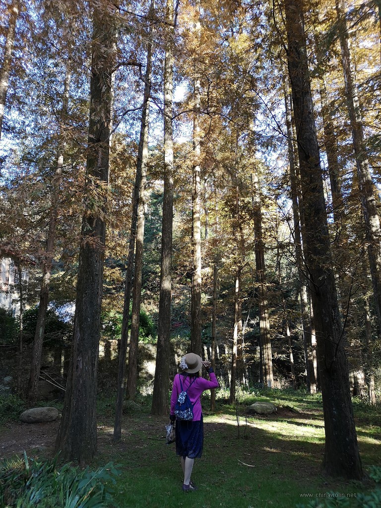 IMG_20181029_154327 (1).jpg