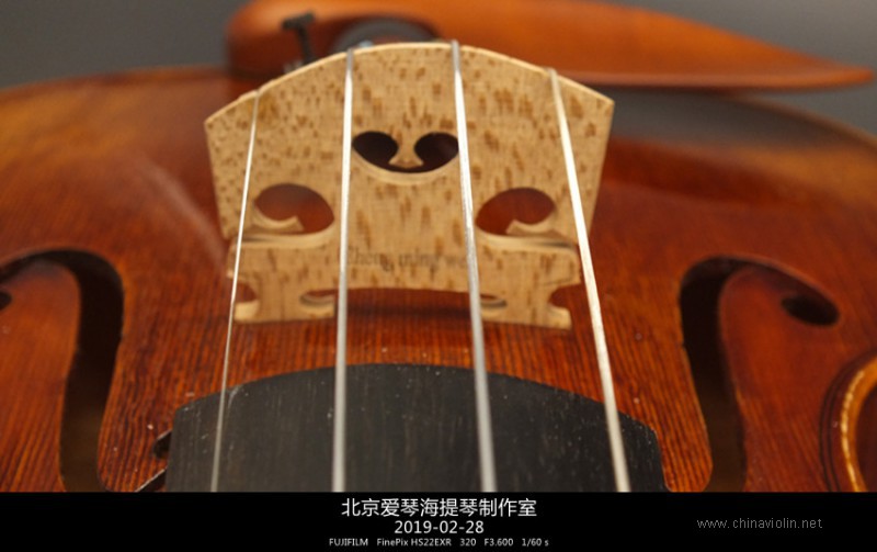 DSCF7867_副本.jpg