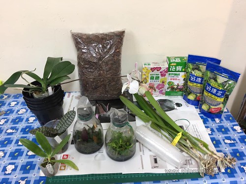 電視是時間的小偷