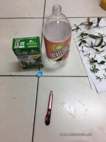 28BB1871-2BC0-4FB5-B25B-BEA6E8BD58AD.jpeg