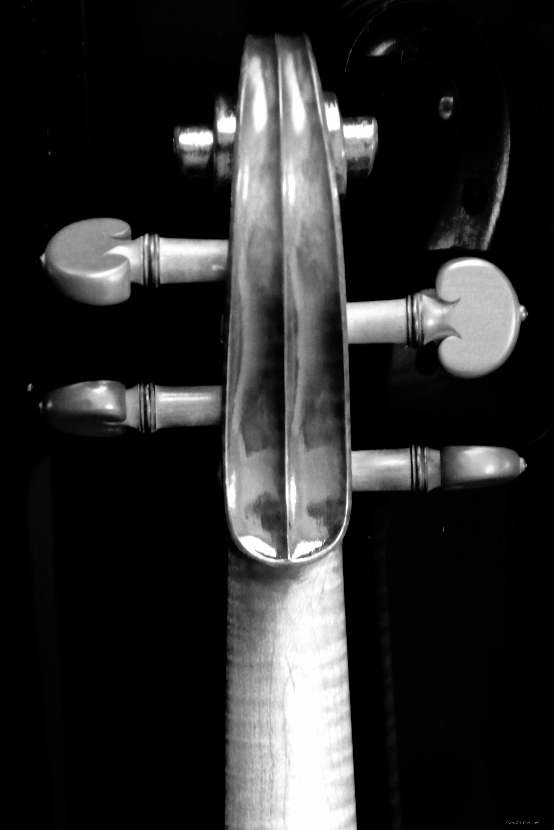 image4.JPG