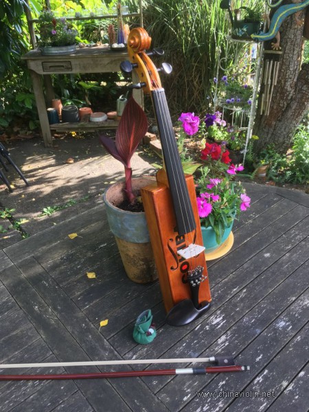 cigar-box fiddle.jpg