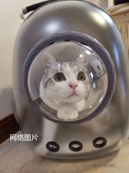 微信图片_20190802111851.jpg
