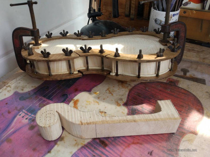 IMG_20190616_100325.jpg