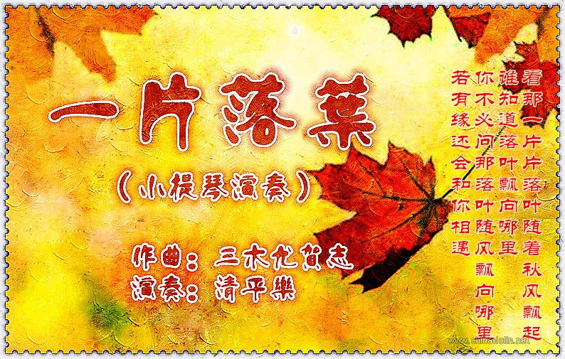 一片落叶1(1).jpg