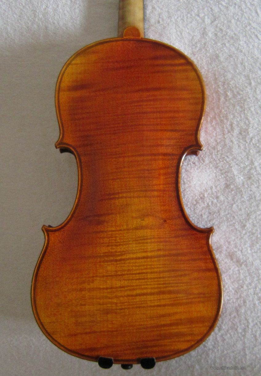 194629azfdpag8ajb2d08h.jpg