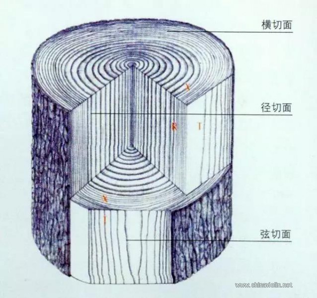 100133837791.jpg