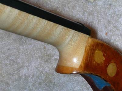 为什么琴把（琴颈）的颜色不同于琴身