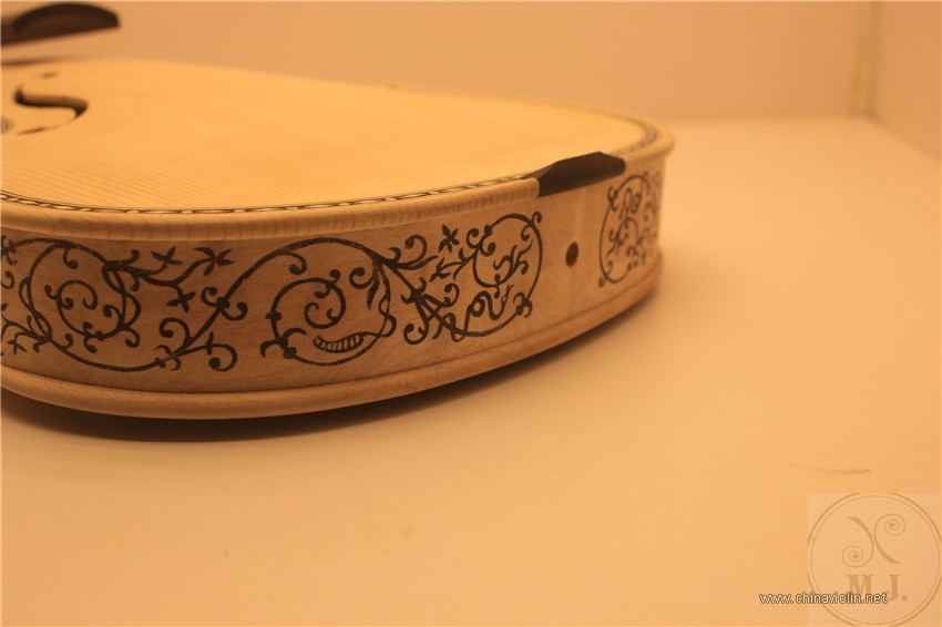 IMG_0850.jpg