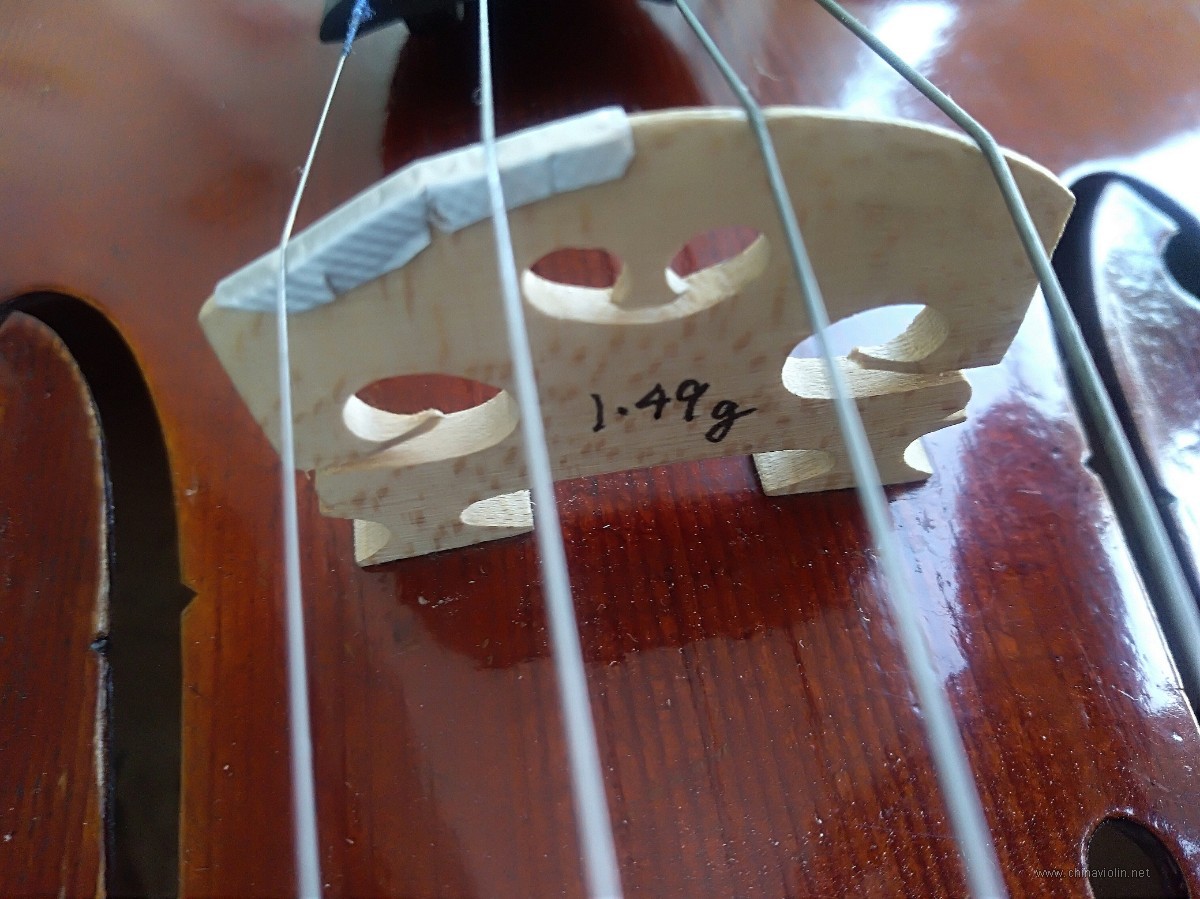 1679458113.jpg