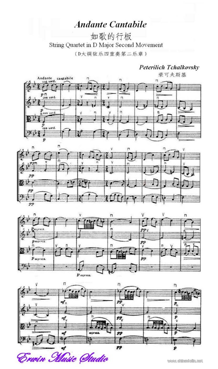 Andante Cantabile in D Major Second Movement_Page_1.jpg