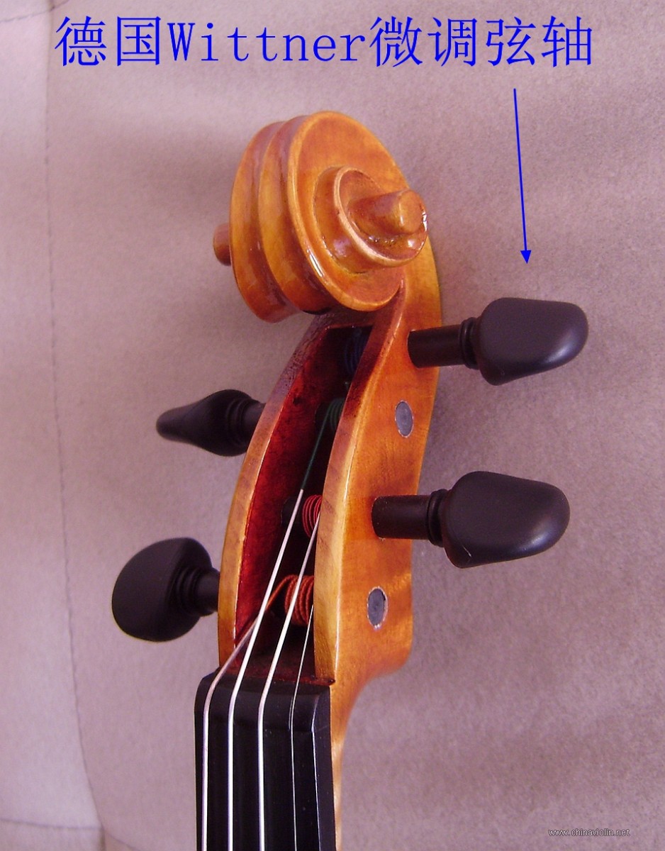 P1010034.JPG